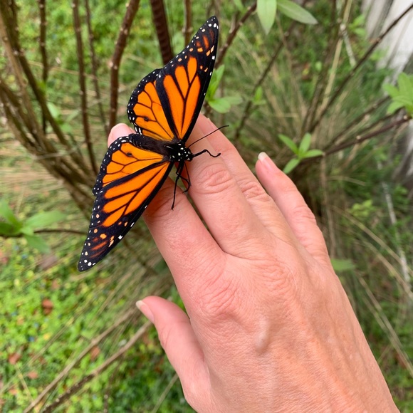 Meet your Posher, Bethie - Picture 6 of 16